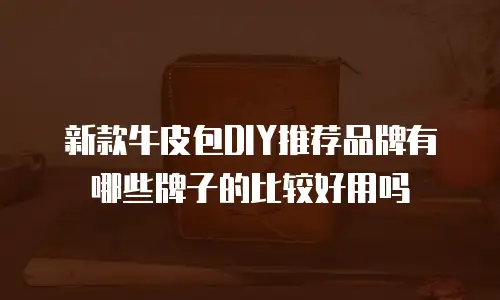 新款牛皮包DIY推荐品牌有哪些牌子的比较好用吗