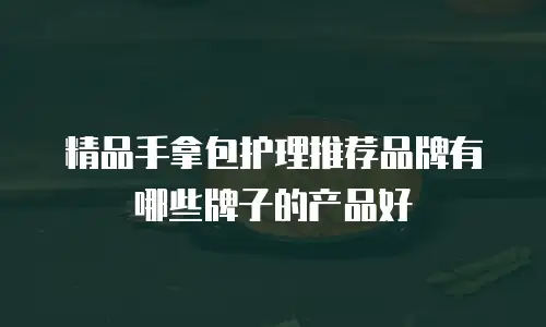 精品手拿包护理推荐品牌有哪些牌子的产品好