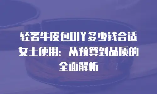 轻奢牛皮包DIY多少钱合适女士使用：从预算到品质的全面解析