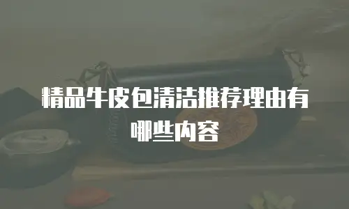 精品牛皮包清洁推荐理由有哪些内容