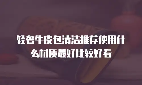 轻奢牛皮包清洁推荐使用什么材质最好比较好看