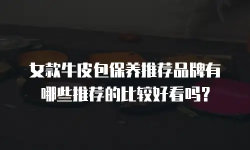 女款牛皮包保养推荐品牌有哪些推荐的比较好看吗？