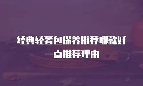 经典轻奢包保养推荐哪款好一点推荐理由