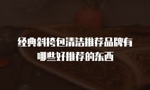 经典斜挎包清洁推荐品牌有哪些好推荐的东西