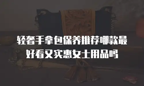 轻奢手拿包保养推荐哪款最好看又实惠女士用品吗