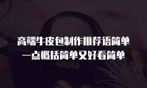 高端牛皮包制作推荐语简单一点概括简单又好看简单