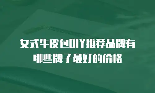 女式牛皮包DIY推荐品牌有哪些牌子最好的价格