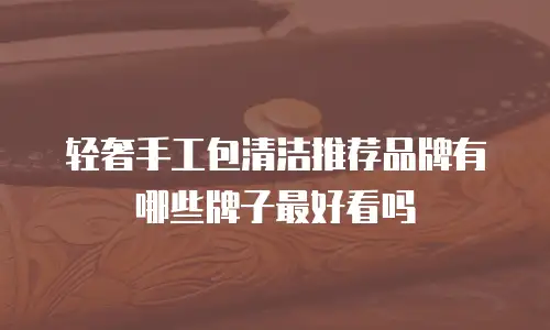 轻奢手工包清洁推荐品牌有哪些牌子最好看吗