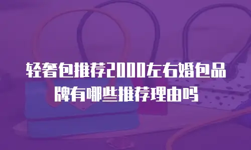 轻奢包推荐2000左右婚包品牌有哪些推荐理由吗