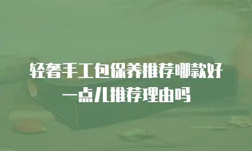 轻奢手工包保养推荐哪款好一点儿推荐理由吗