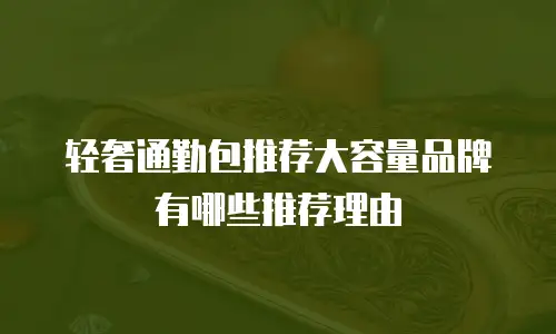 轻奢通勤包推荐大容量品牌有哪些推荐理由