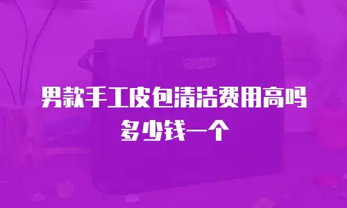 男款手工皮包清洁费用高吗多少钱一个