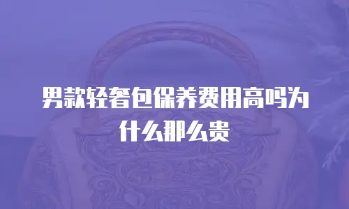 男款轻奢包保养费用高吗为什么那么贵