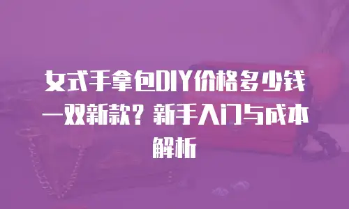 女式手拿包DIY价格多少钱一双新款？新手入门与成本解析
