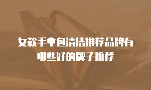 女款手拿包清洁推荐品牌有哪些好的牌子推荐