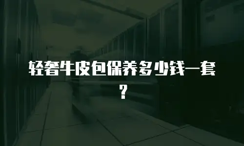 轻奢牛皮包保养多少钱一套？