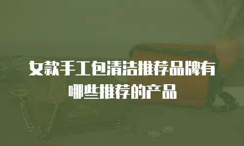女款手工包清洁推荐品牌有哪些推荐的产品