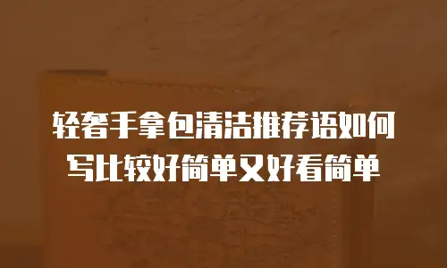 轻奢手拿包清洁推荐语如何写比较好简单又好看简单