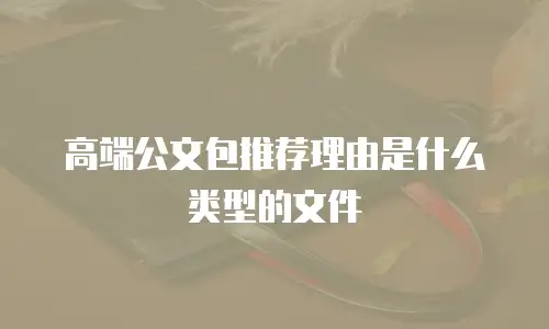 高端公文包推荐理由是什么类型的文件