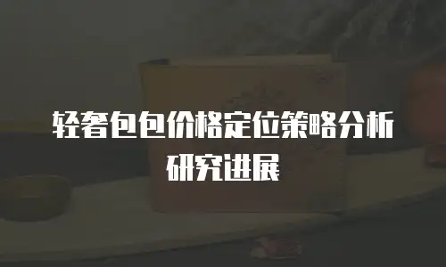 轻奢包包价格定位策略分析研究进展