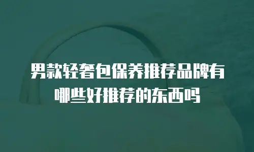 男款轻奢包保养推荐品牌有哪些好推荐的东西吗