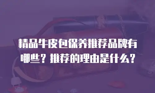 精品牛皮包保养推荐品牌有哪些？推荐的理由是什么？
