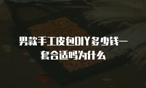 男款手工皮包DIY多少钱一套合适吗为什么