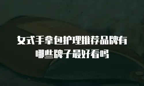 女式手拿包护理推荐品牌有哪些牌子最好看吗