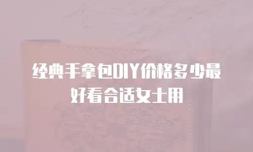 经典手拿包DIY价格多少最好看合适女士用
