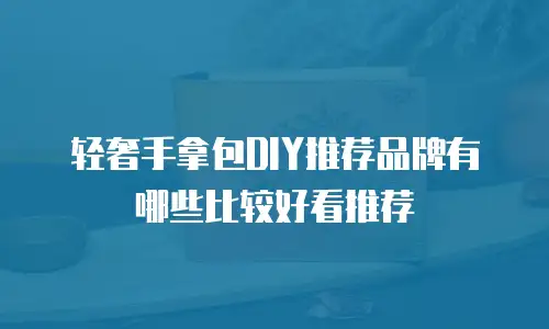 轻奢手拿包DIY推荐品牌有哪些比较好看推荐