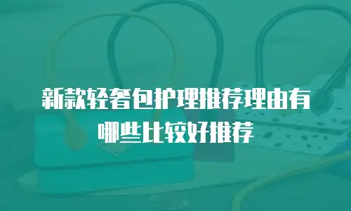 新款轻奢包护理推荐理由有哪些比较好推荐