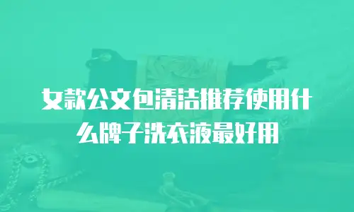 女款公文包清洁推荐使用什么牌子洗衣液最好用