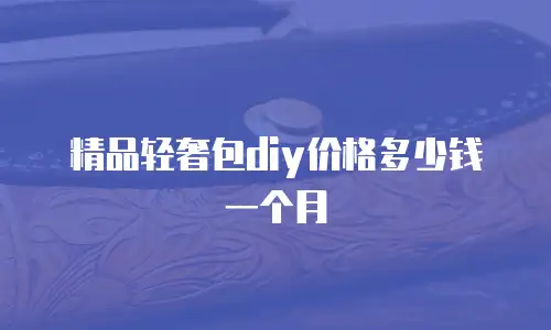 精品轻奢包diy价格多少钱一个月