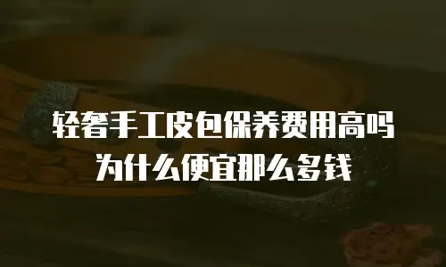 轻奢手工皮包保养费用高吗为什么便宜那么多钱