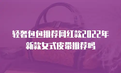 轻奢包包推荐网红款2022年新款女式皮带推荐吗