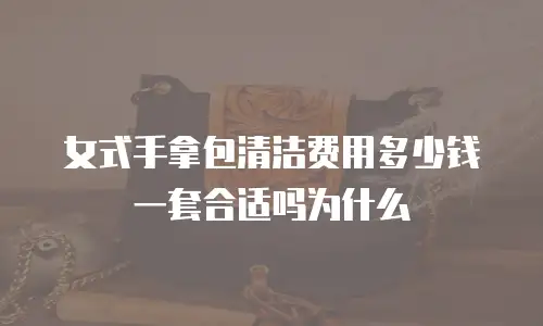 女式手拿包清洁费用多少钱一套合适吗为什么