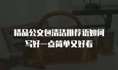 精品公文包清洁推荐语如何写好一点简单又好看