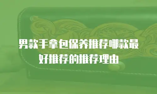 男款手拿包保养推荐哪款最好推荐的推荐理由