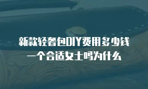 新款轻奢包DIY费用多少钱一个合适女士吗为什么
