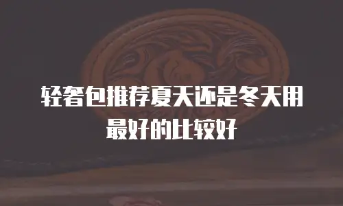 轻奢包推荐夏天还是冬天用最好的比较好