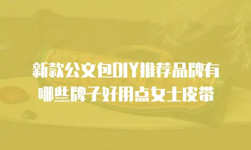 新款公文包DIY推荐品牌有哪些牌子好用点女士皮带