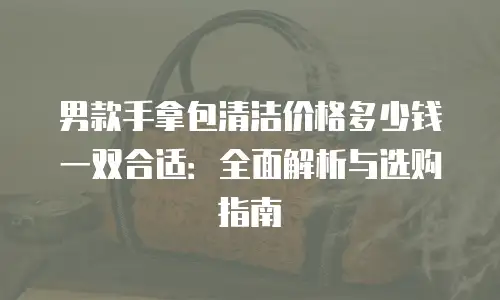 男款手拿包清洁价格多少钱一双合适：全面解析与选购指南