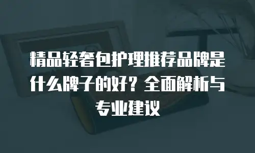 精品轻奢包护理推荐品牌是什么牌子的好？全面解析与专业建议