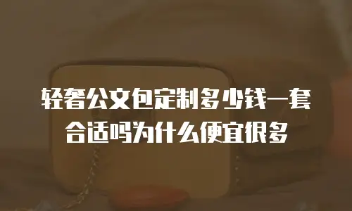 轻奢公文包定制多少钱一套合适吗为什么便宜很多
