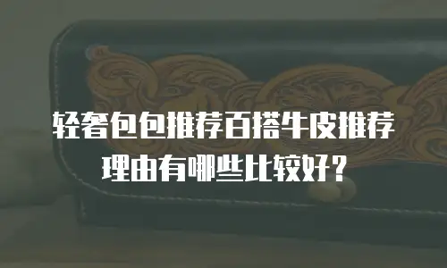 轻奢包包推荐百搭牛皮推荐理由有哪些比较好？