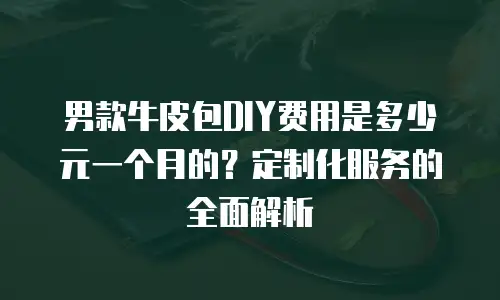 男款牛皮包DIY费用是多少元一个月的？定制化服务的全面解析