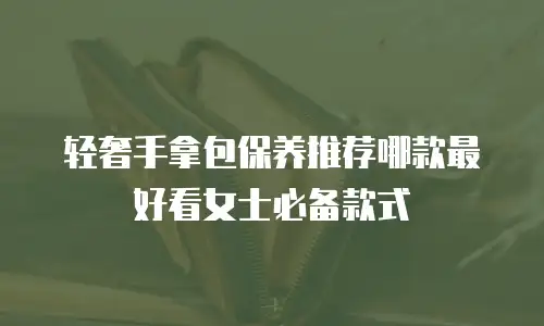 轻奢手拿包保养推荐哪款最好看女士必备款式