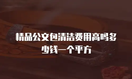 精品公文包清洁费用高吗多少钱一个平方