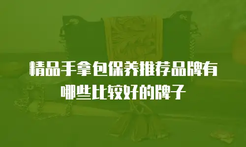 精品手拿包保养推荐品牌有哪些比较好的牌子