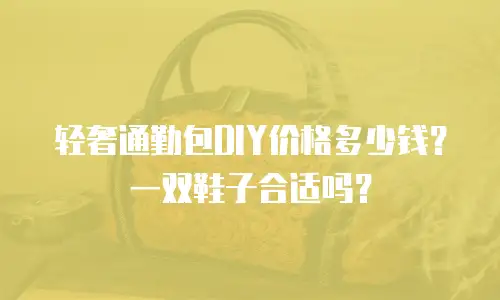 轻奢通勤包DIY价格多少钱？一双鞋子合适吗？